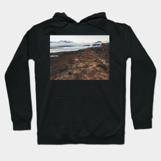 Long Brown Grass by Atlantic Ocean Inlet on Cold Sunny Winter Day Hoodie